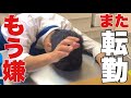 #53 ４ヵ月で５回転勤はもはや転職案件…。そうだ気分転換にお花見しよう。