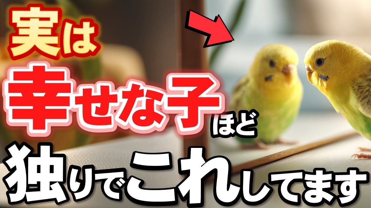 7 Behaviors of Happy Parakeets - YouTube