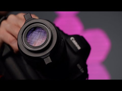 #Canon100mm Vs. Canon100mm &amp; #Raynox DCR-250 Vs. #Laowa25mm [ Which has better image quality?! ]