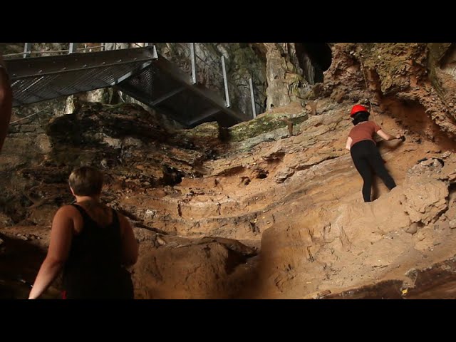 Sketches offer glimpse into Neanderthals' lives in Gibraltar