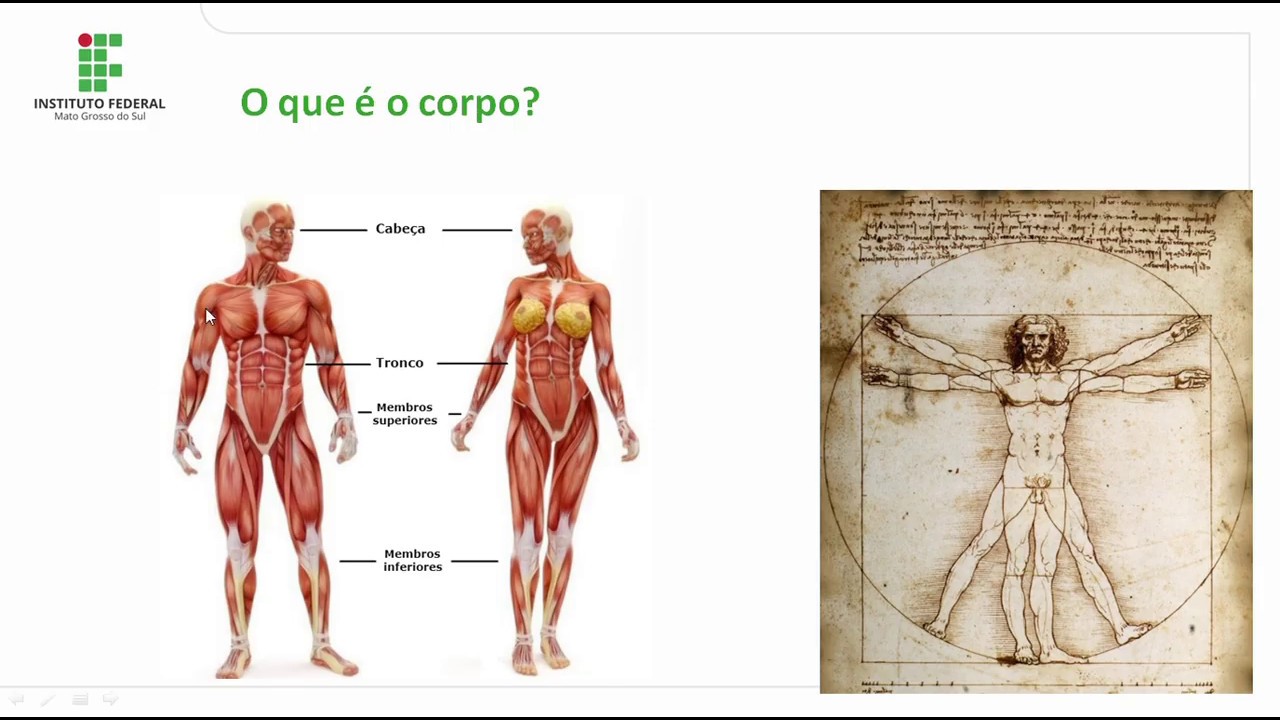 Aula 1 - o que é o corpo? - YouTube