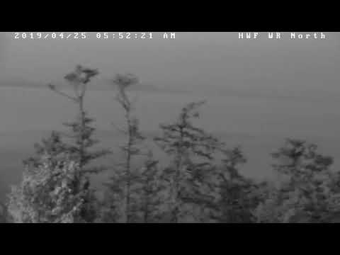 bald eagles in wisconsin Hancock Wildlife Foundation Live Stream