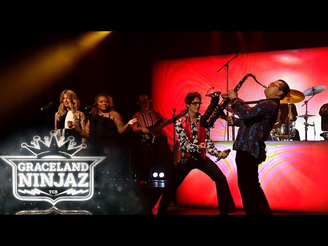 Graceland Ninjaz "Hound Dog"