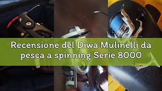 Recensione del Diwa Mulinelli da pesca a spinning Serie 8000/10000/12000 Acqua dolce d'acqua salata