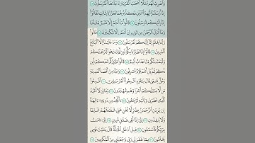 #قرآن #تلاوة_خاشعة #القرآن_الكريم #آيات #الله #اسلام #islam #quran #islamicvideo #tilawat
