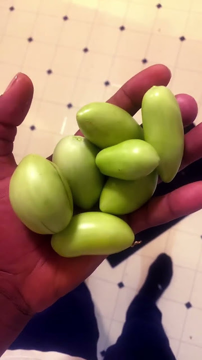Homegrown tomatoes 🍅 ￼