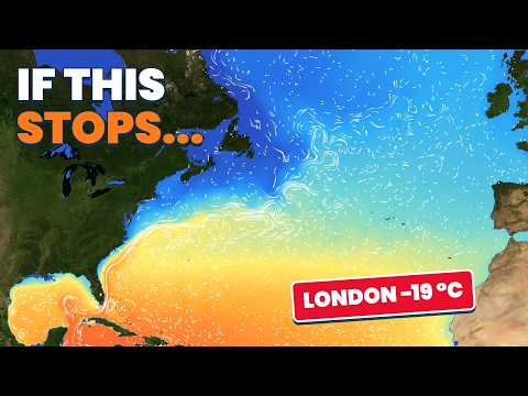 What If the Gulf Stream Stopped?