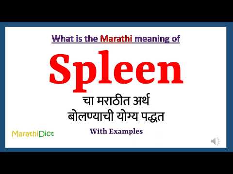 Spleen Meaning in Marathi | Spleen म्हणजे काय | Spleen in Marathi Dictionary |