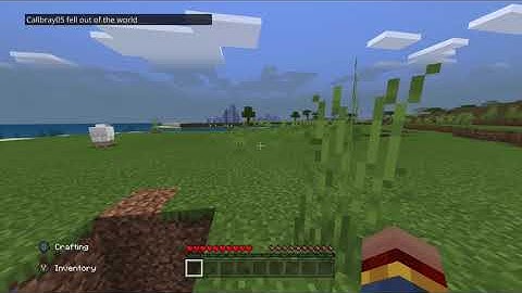 Would a Totem Of Undying save me from dying in the void