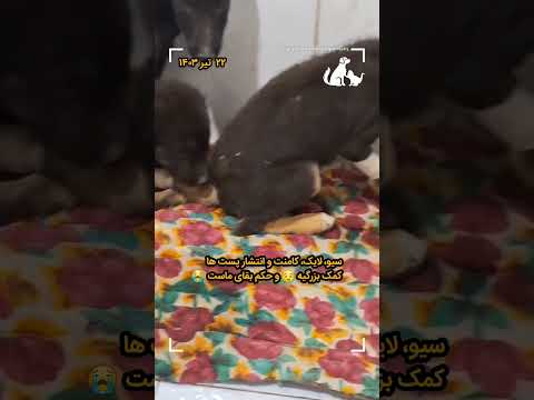 ۵۸۹۲ ۱۰۱۰ ۵۱۱۸ ۴۱۹۶ به نام عادل ملائی ان شاءالله پول هاتون خرج بیماری نشه