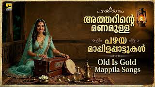 പഴയ മാപ്പിളപ്പാട്ടുകൾ Old Mappilapattukal | Malayalam Mappilapatukal | Pazhaya Mappila Songs