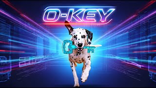 Приложение O Key, функционал, правовые аспекты. Гнетнева Елена 04.05.25 г. screenshot 3