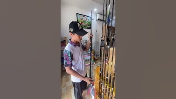 Review nhanh combo câu cá tra cực khoẻ giá cực sinh viên. Nhất tĩnh 7kg