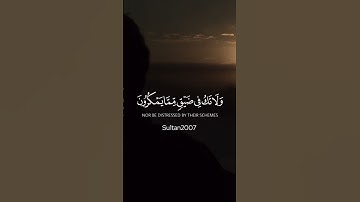 القارئ: فارس عباد 💛 سورة النحل آية (١٢٨)