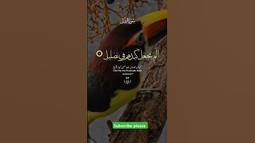 Surah Al-Fil short video سورة الفيل فيديو قصير #foru #foryou #foryoupage #surah #quran #arabic#عربي