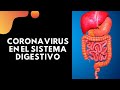 Coronavirus en el sistema digestivo