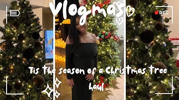 VLOGMAS DAY 5: Christmas Tree Decor Haul 🎄✨