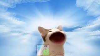 True Kan? - Viral Fb