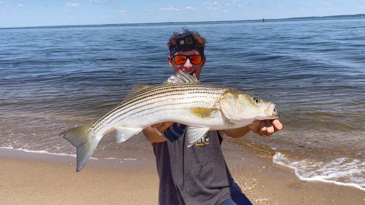 The SECRET To Catching Summer Striped Bass! (Surf Fishing