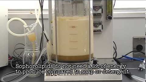 ハッピーエレファント「持続可能な解決を目指して」