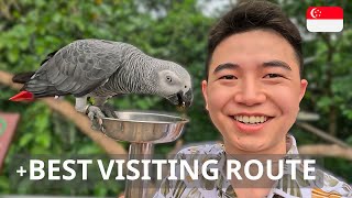 The Ultimate Guide to Bird Paradise Singapore