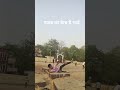 पूरा ध्यान कैच पर था गुड फोकस #bollywood