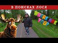 Жизнь в США | В поисках Лося для истории | Аляска Анкоридж | Влог