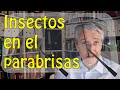 Insectos en el parabrisas  dinmica de atencinpercepcin en el trabajo y consciencia situacional