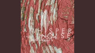 Video thumbnail of "A Whisper in the Noise - Black Shroud"