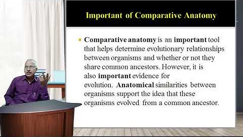 FYBSc Zoology Paper-I Sem-II Unit-1 Integumentary System