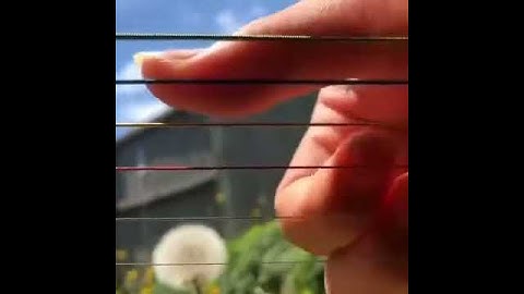 visualizing vibrations on singing strings Guitar