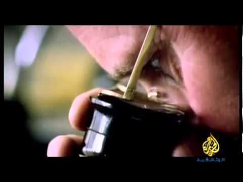 وثائقي الجرائم الالكترونية