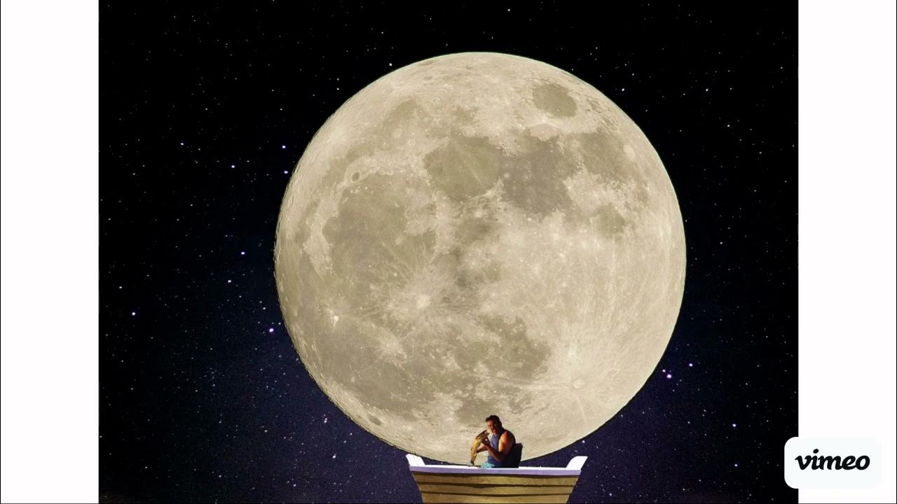 The Man On The Moon Is A Newfie Golden Dory - The Man In The Moon Is A Newfie - YouTube