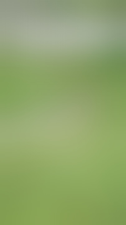 detik-detik masyarakat eksekusi ular piton pemakan sapi -Sultra-buton😲😲😲#shortvideo #viralvideo