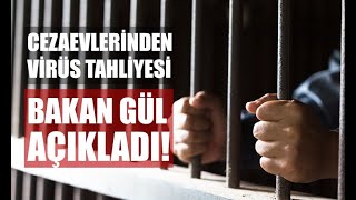 Adalet Bakanı Gül'den son dakika açıklaması. Cezaevlerinden virüs tahliyesi…