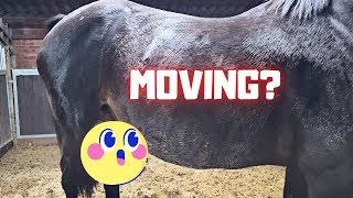 Is the foal moving? Coralle is smart! | The boss rides Queen👑Uniek! | Friesian Horses by Friesian Horses 47,896 views 4 weeks ago 11 minutes, 19 seconds