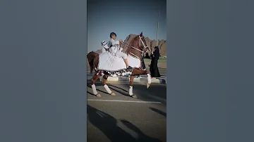 شاهد جمال خطوات الخيل العربي الاصيل فخامه وهيبه خيل السعودية 