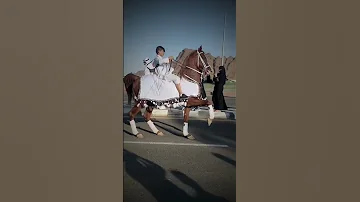شاهد جمال خطوات الخيل العربي الاصيل فخامه وهيبه خيل السعودية 