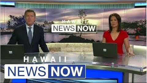 Live coral colonies damaged by cinder blocks during a Hawaii Island canoe regatta