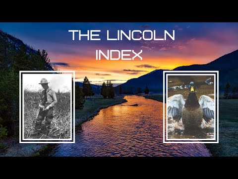The Lincoln Index
