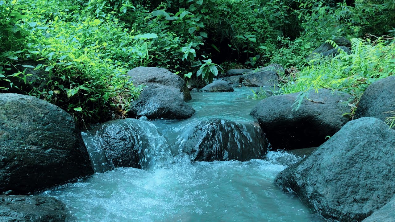 Pure River Sound for Deep Relaxation | Peaceful Nature ASMR