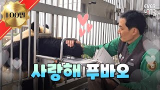 [ENG] 푸바오 책 읽어주는 스윗 할부지🤍 쌍둥이 아기판다 달리기 시합까지│#판다와쏭 #134