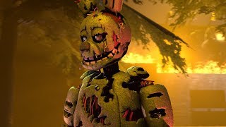 PERGUNTE AO SPRING TRAP #9 - EU SEMPRE VOLTO!