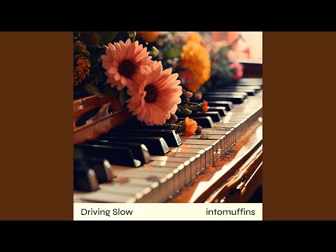 Driving Slow