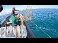 DEEP WATER FISH TRAPS HAULED AFTER 1 WEEK AT SEA