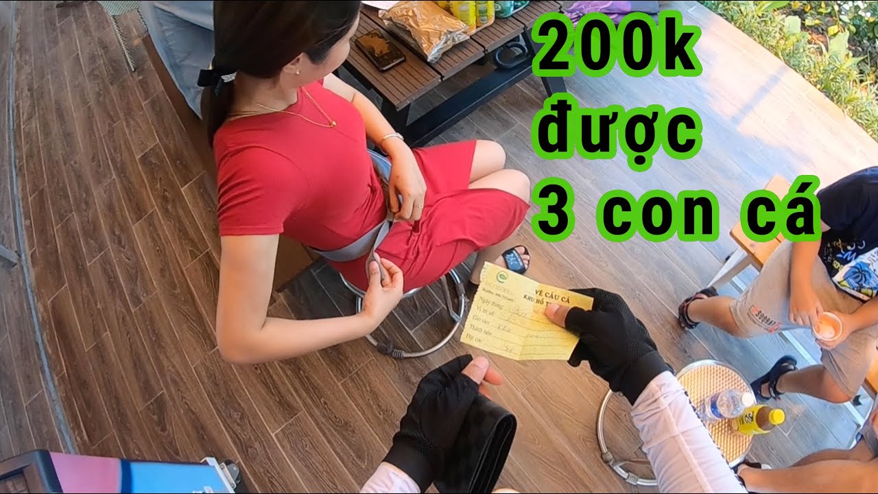 hồ câu giá rẻ ở hà nội 2022 New Review hồ câu đẹp nhất Việt Nam - Thiên nga nhiều hơn cá