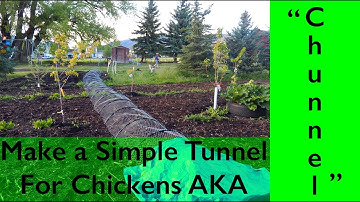 DIY Chicken Tunnel AKA "CHUNNEL"