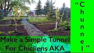 DIY Chicken Tunnel AKA 