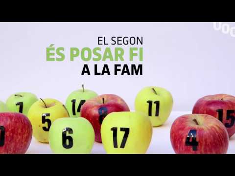 Vídeo: Recuperació D'aliments Per A Mascotes I Seguretat Alimentària