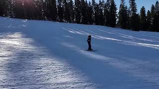 Mj Skiing in Dodge Ridge CA 2018